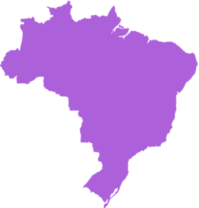 brazil map silhouette ac61da md1 287x3001 1